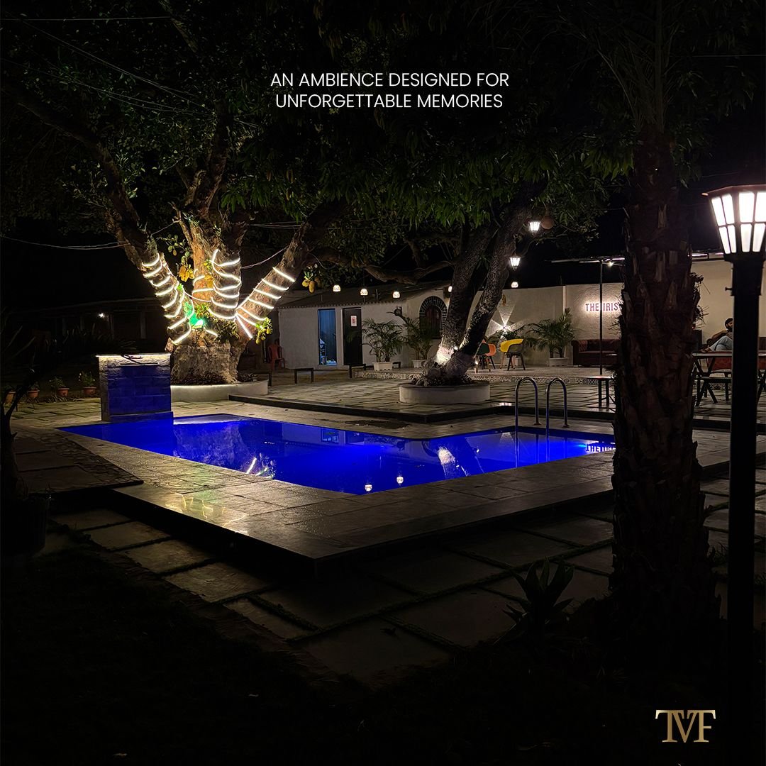 The Iris Club — Image 1