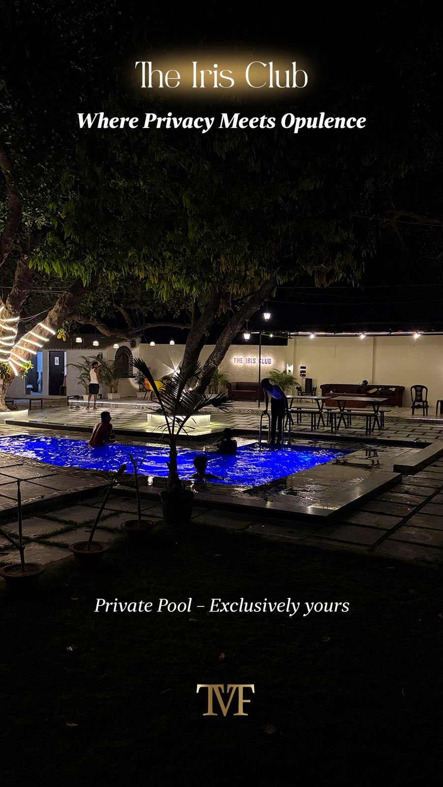 The Iris Club — Image 2