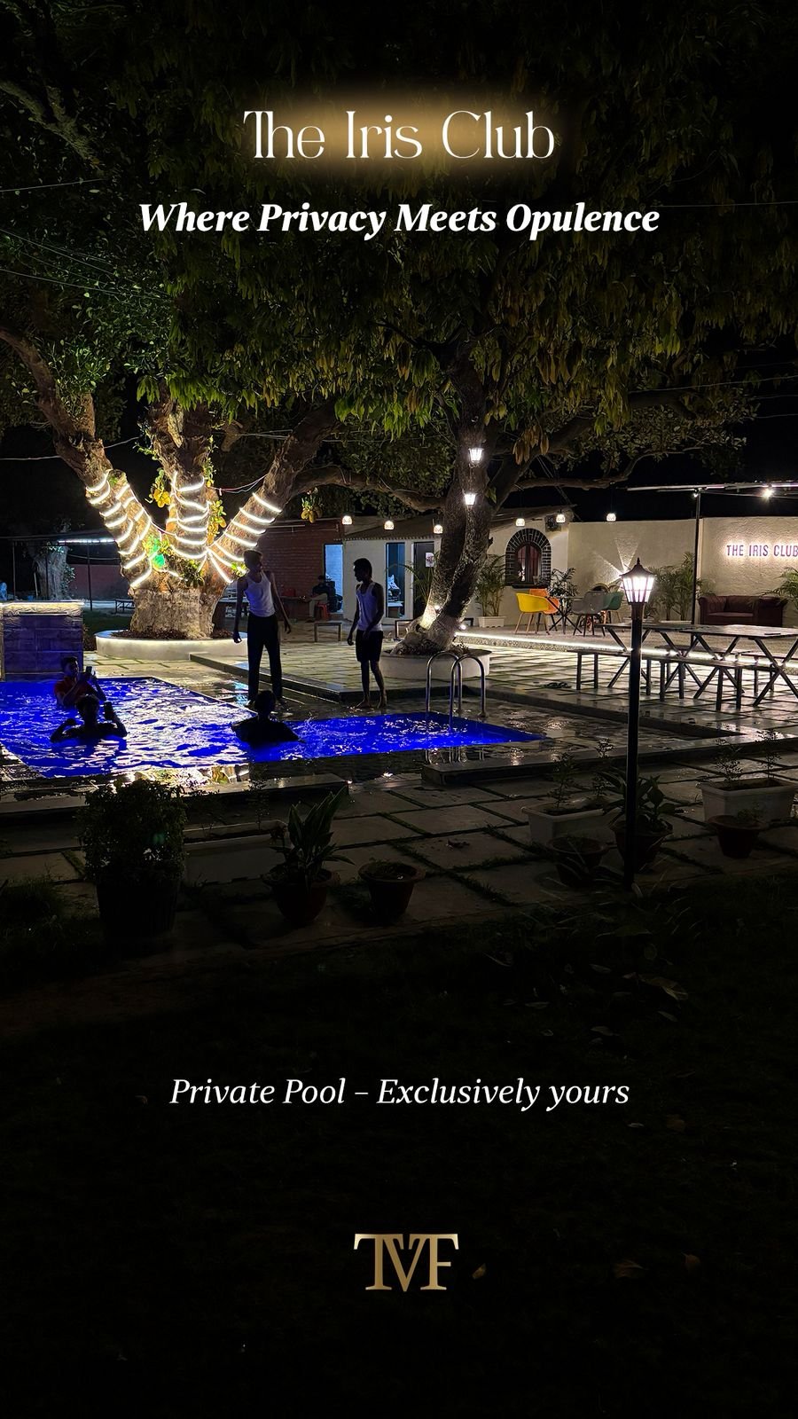 The Iris Club — Image 3