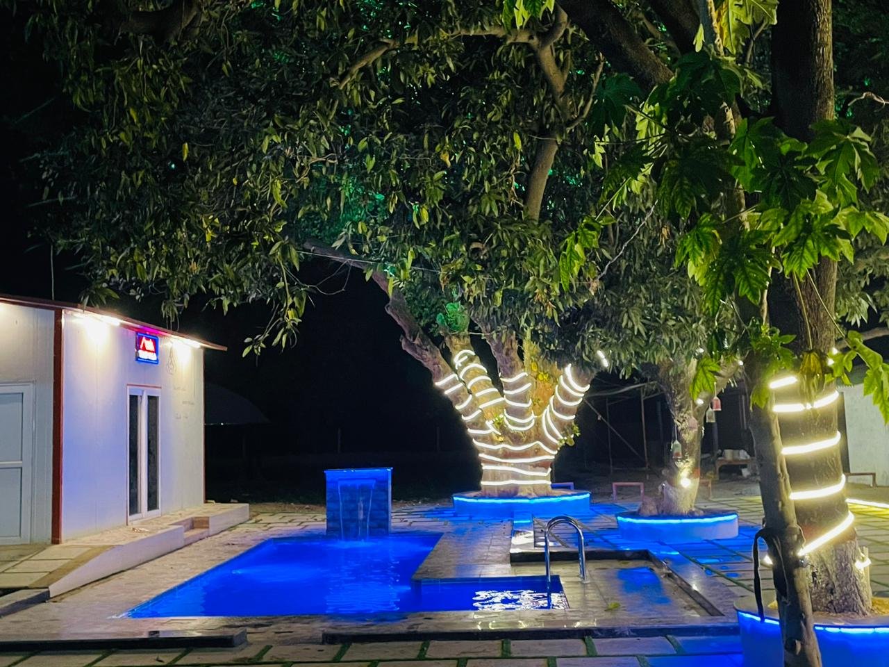 The Iris Club — Image 6